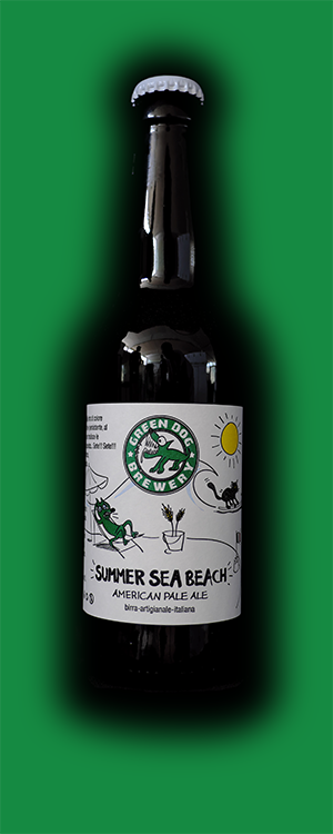 Summer Sea Beach